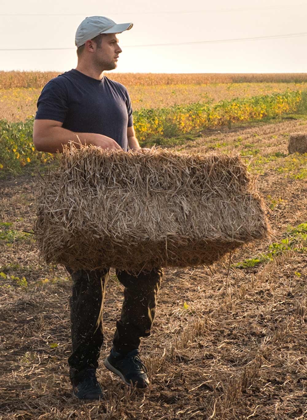 Carrying a hay bale